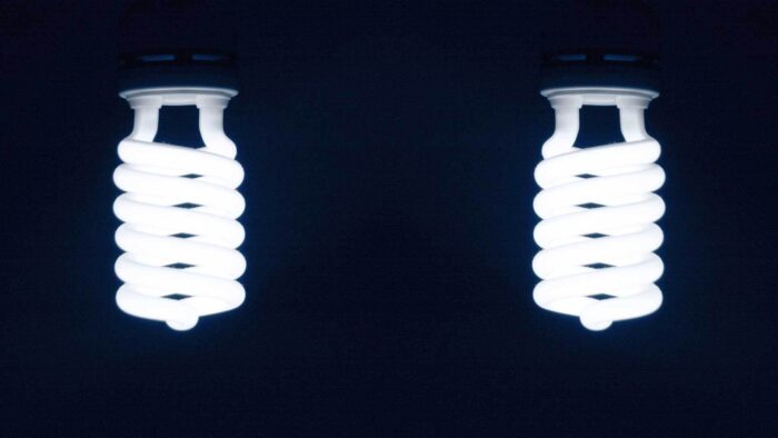 pair of energy saving light bulbs